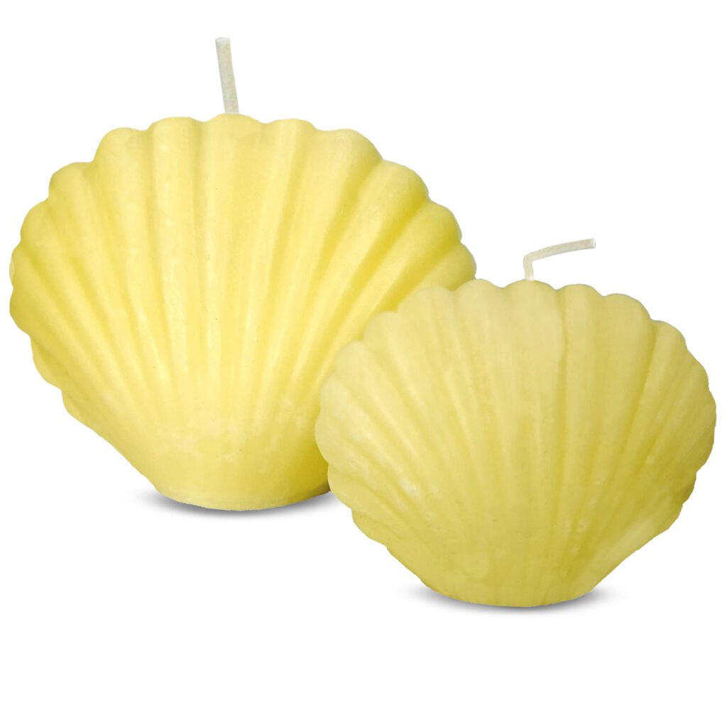 Apexor 1 Piece Big & 1 Piece Small Sea Shell Scented Candle with Jasmine Motia Scent Seashell Shape Decorative Candle for Coastal Home & Gift (Light Beige)